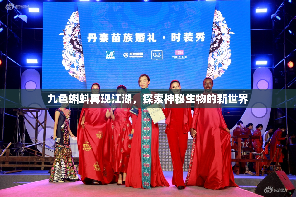 九色蝌蚪再现江湖，探索神秘生物的新世界