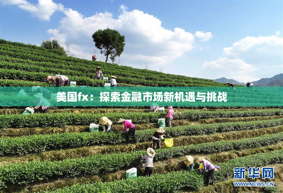 美国fx：探索金融市场新机遇与挑战