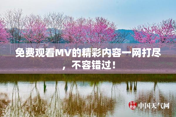 免费观看MV的精彩内容一网打尽，不容错过！