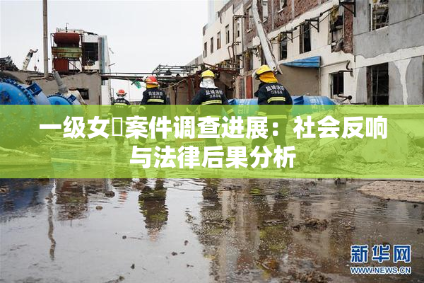 一级女婬案件调查进展：社会反响与法律后果分析