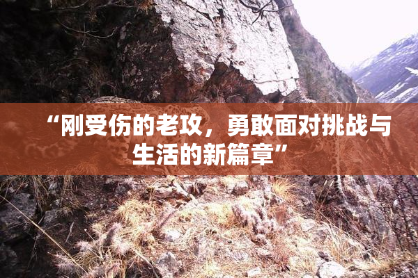 “刚受伤的老攻，勇敢面对挑战与生活的新篇章”