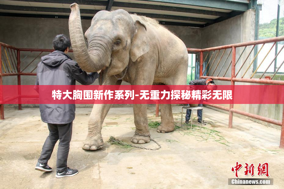 特大胸围新作系列-无重力探秘精彩无限