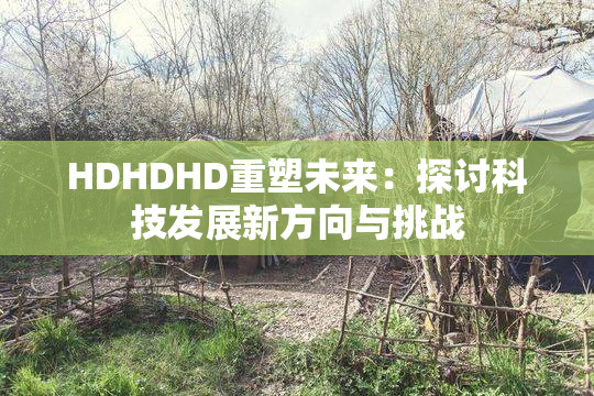 HDHDHD重塑未来：探讨科技发展新方向与挑战