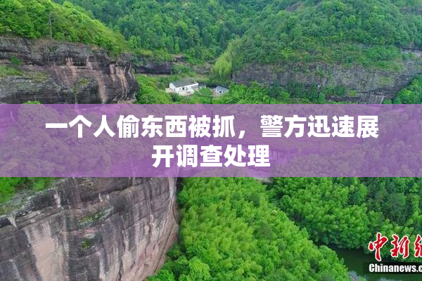 一个人偷东西被抓，警方迅速展开调查处理