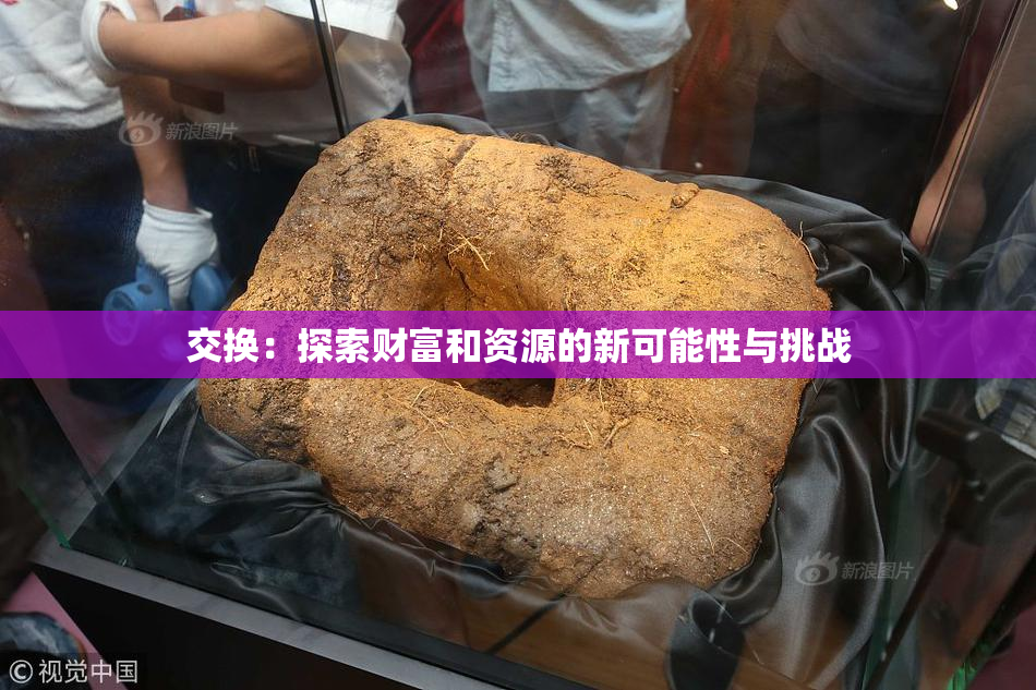 交换：探索财富和资源的新可能性与挑战