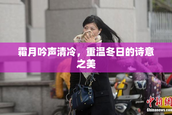 霜月吟声清冷，重温冬日的诗意之美