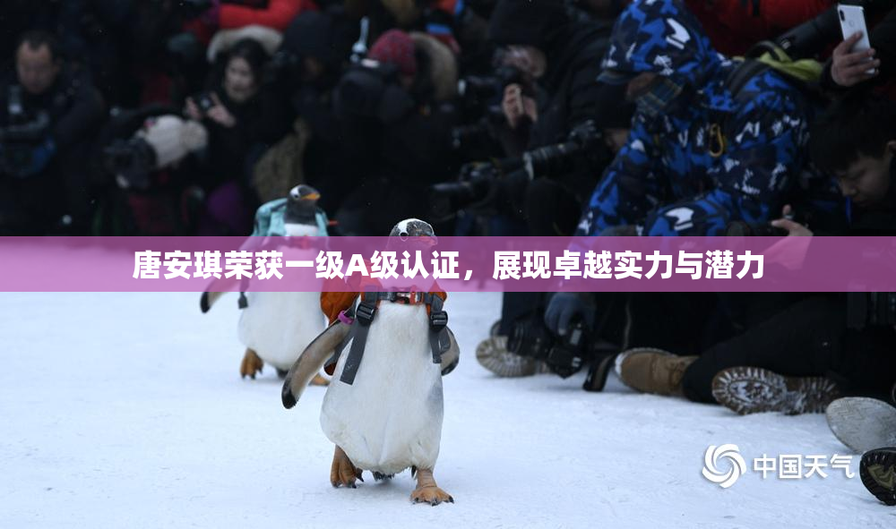 唐安琪荣获一级A级认证，展现卓越实力与潜力