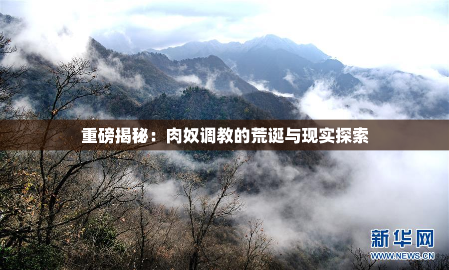 重磅揭秘：肉奴调教的荒诞与现实探索