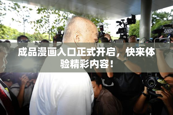 成品漫画入口正式开启，快来体验精彩内容！