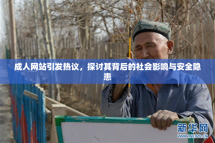 成人网站引发热议，探讨其背后的社会影响与安全隐患