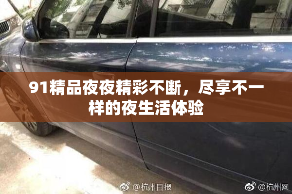 91精品夜夜精彩不断，尽享不一样的夜生活体验