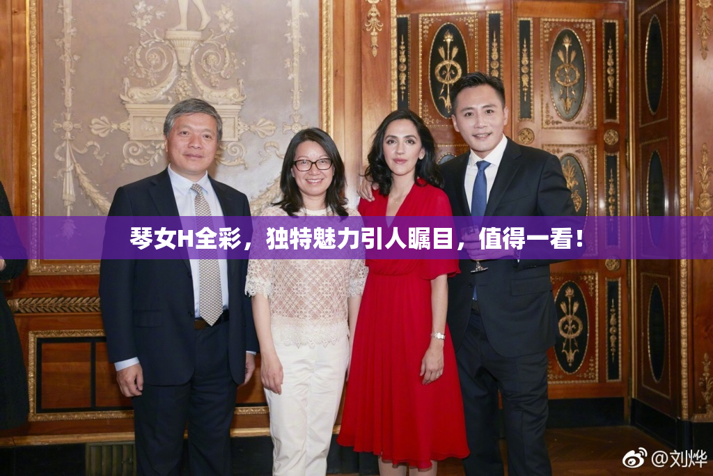 琴女H全彩，独特魅力引人瞩目，值得一看！