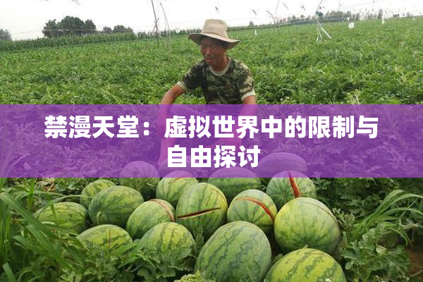 禁漫天堂：虚拟世界中的限制与自由探讨
