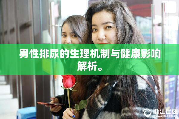 男性排尿的生理机制与健康影响解析。