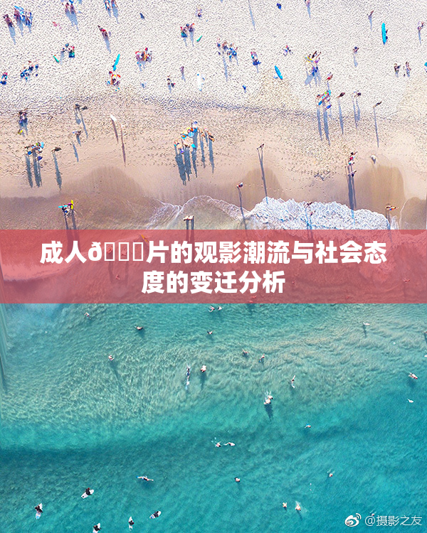 成人🔞片的观影潮流与社会态度的变迁分析