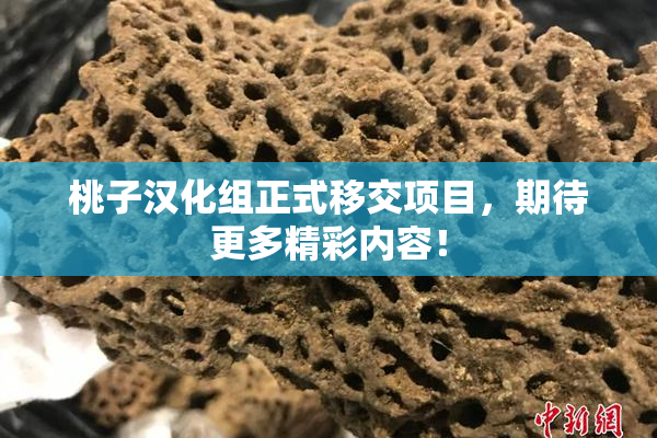 桃子汉化组正式移交项目，期待更多精彩内容！