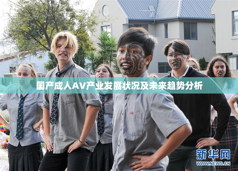 国产成人AV产业发展状况及未来趋势分析