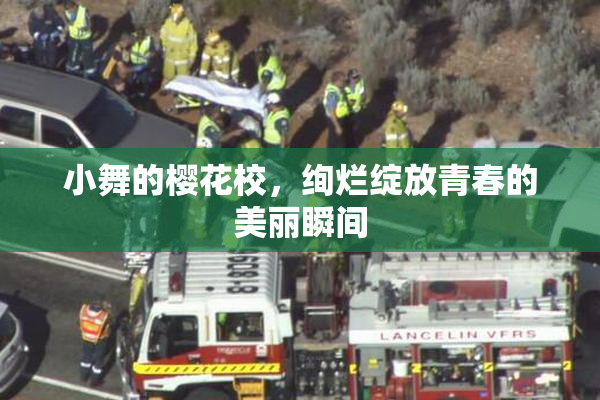 小舞的樱花校，绚烂绽放青春的美丽瞬间
