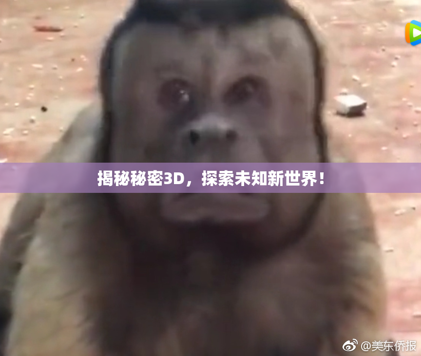 揭秘秘密3D，探索未知新世界！