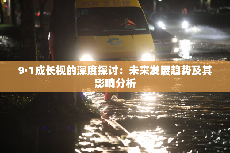 9·1成长视的深度探讨：未来发展趋势及其影响分析