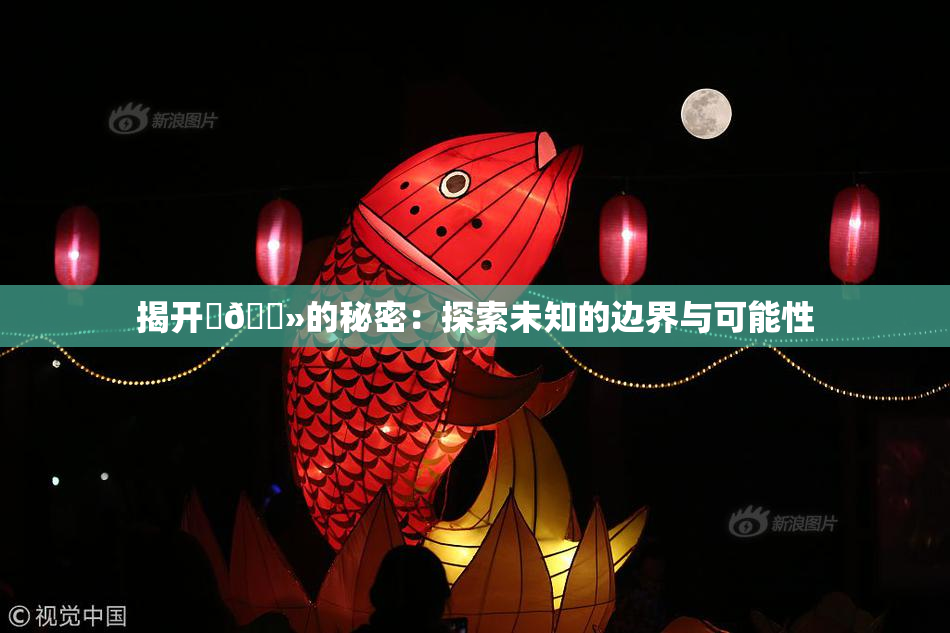揭开‌🐻的秘密：探索未知的边界与可能性