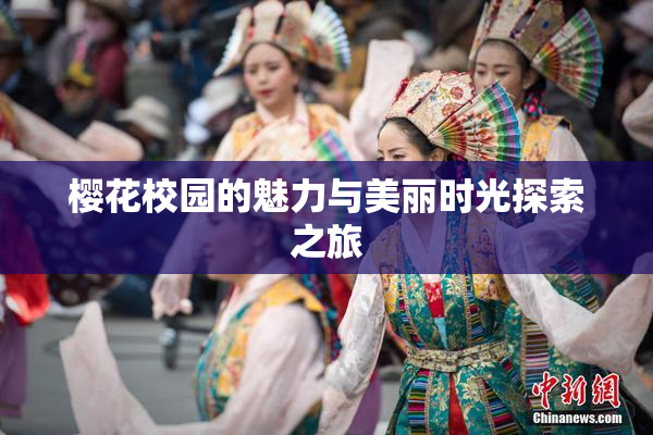 樱花校园的魅力与美丽时光探索之旅