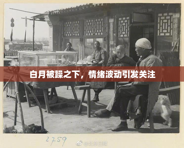 白月被躁之下，情绪波动引发关注