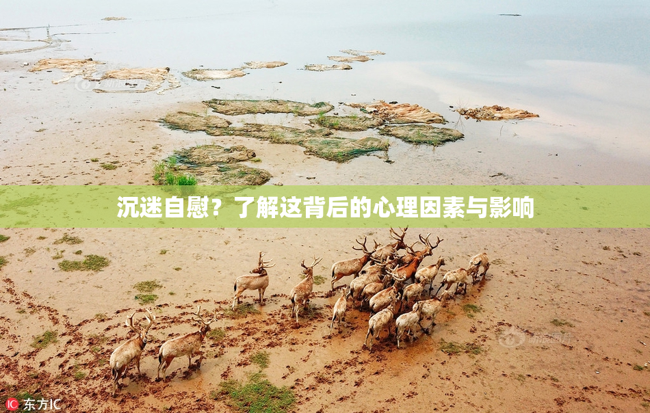 沉迷自慰？了解这背后的心理因素与影响