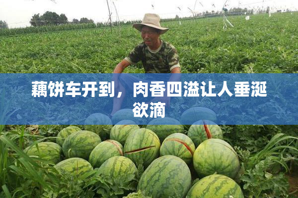 藕饼车开到，肉香四溢让人垂涎欲滴
