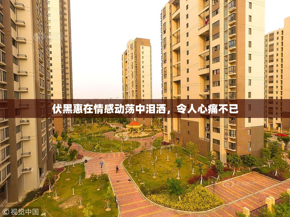 伏黑惠在情感动荡中泪洒，令人心痛不已