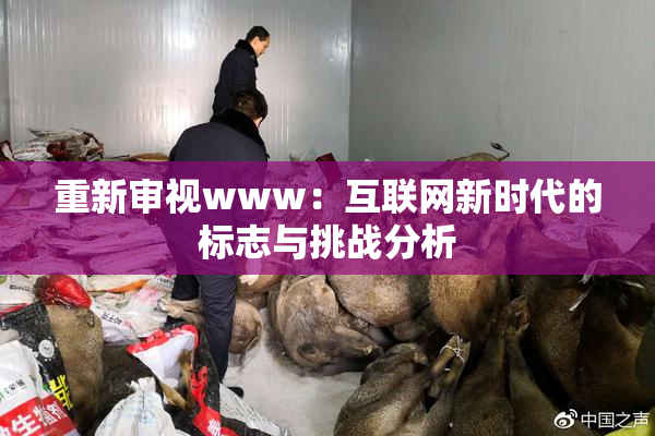 重新审视www：互联网新时代的标志与挑战分析