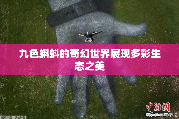 九色蝌蚪的奇幻世界展现多彩生态之美