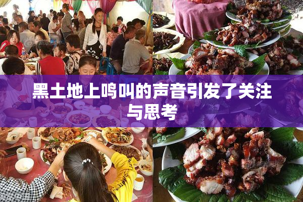 黑土地上鸣叫的声音引发了关注与思考