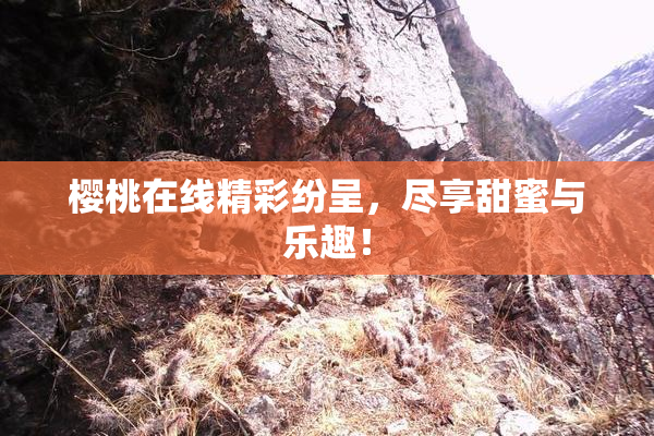 樱桃在线精彩纷呈，尽享甜蜜与乐趣！