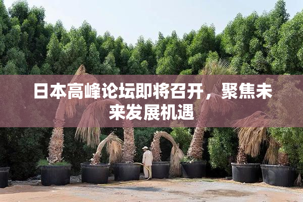 日本高峰论坛即将召开，聚焦未来发展机遇