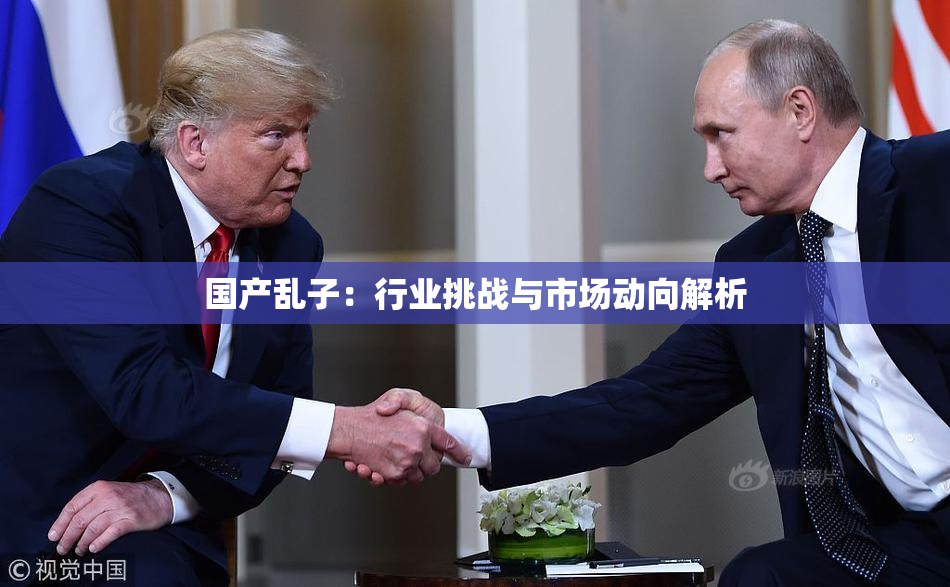 国产乱子：行业挑战与市场动向解析