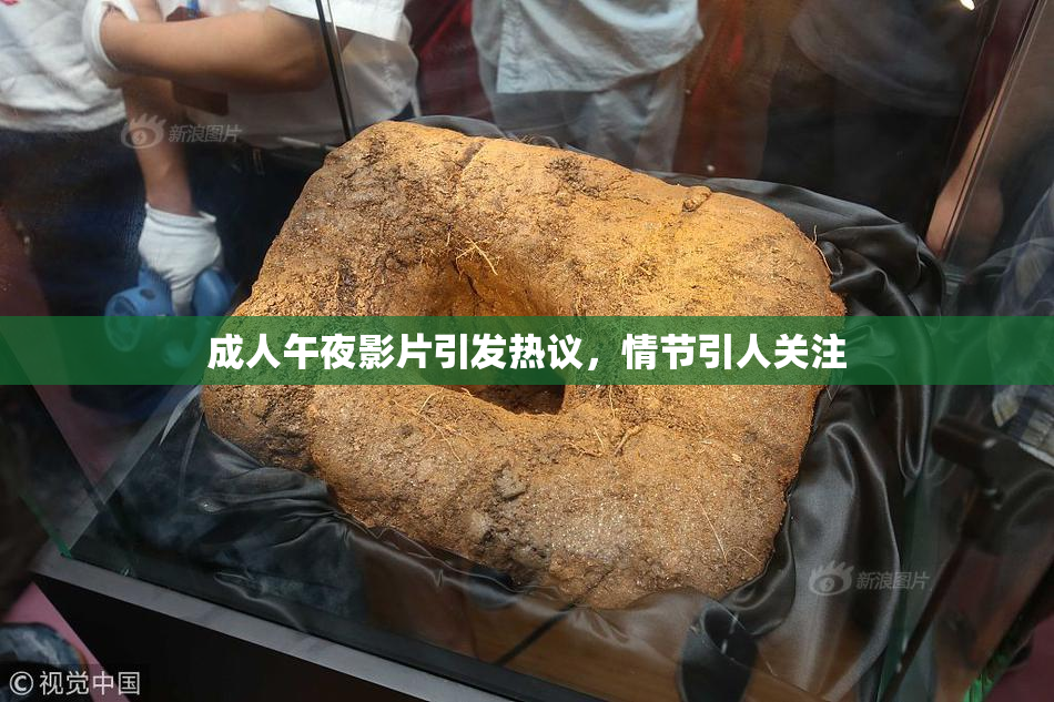 成人午夜影片引发热议，情节引人关注