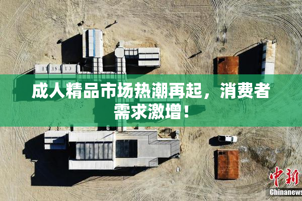 成人精品市场热潮再起，消费者需求激增！