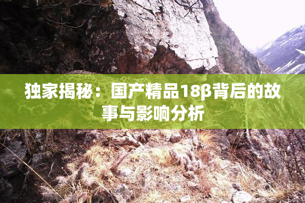 独家揭秘：国产精品18β背后的故事与影响分析