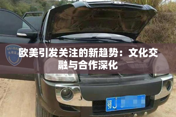 欧美引发关注的新趋势：文化交融与合作深化