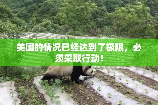 美国的情况已经达到了极限，必须采取行动！