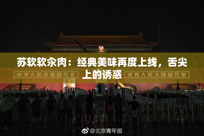 苏软软汆肉：经典美味再度上线，舌尖上的诱惑