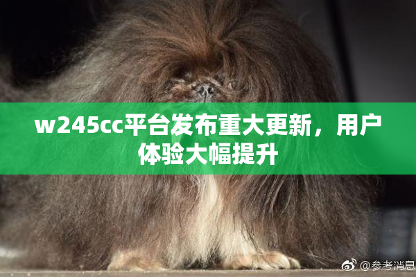 w245cc平台发布重大更新，用户体验大幅提升