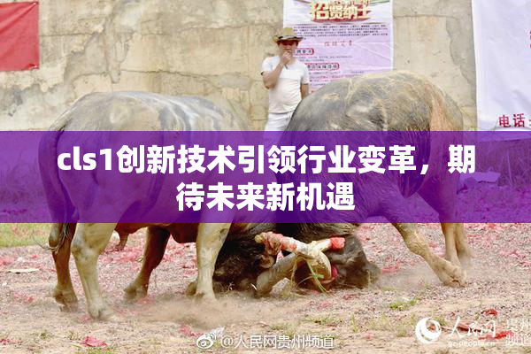 cls1创新技术引领行业变革，期待未来新机遇