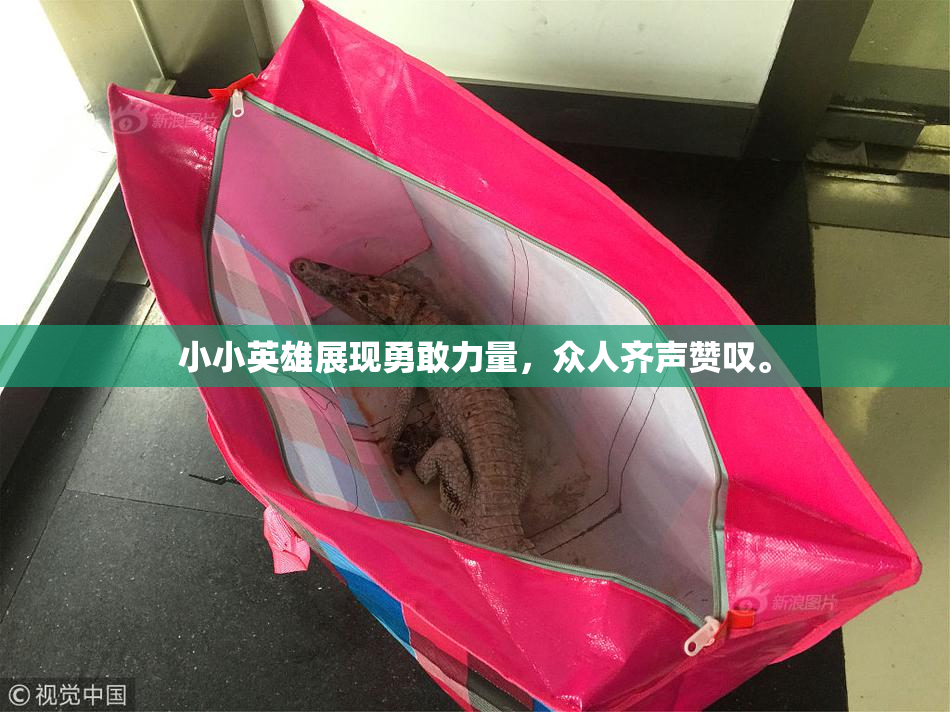 小小英雄展现勇敢力量，众人齐声赞叹。