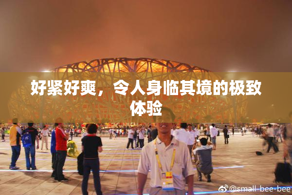 好紧好爽，令人身临其境的极致体验