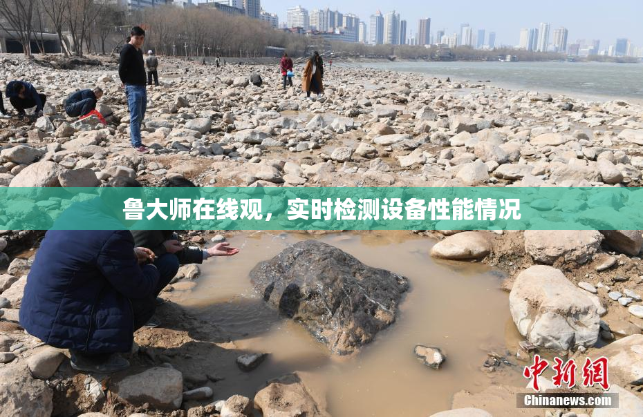 鲁大师在线观，实时检测设备性能情况