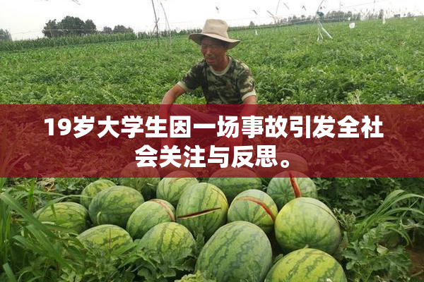 19岁大学生因一场事故引发全社会关注与反思。