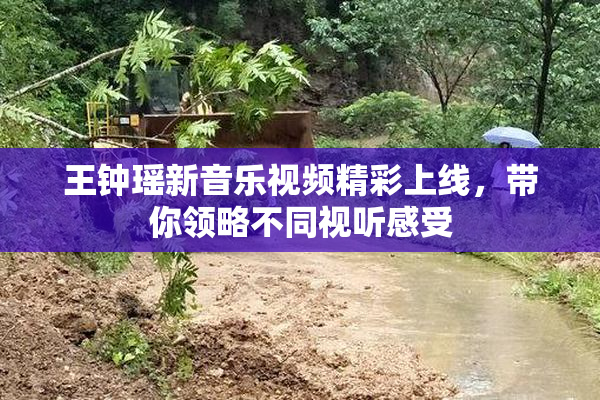 王钟瑶新音乐视频精彩上线，带你领略不同视听感受