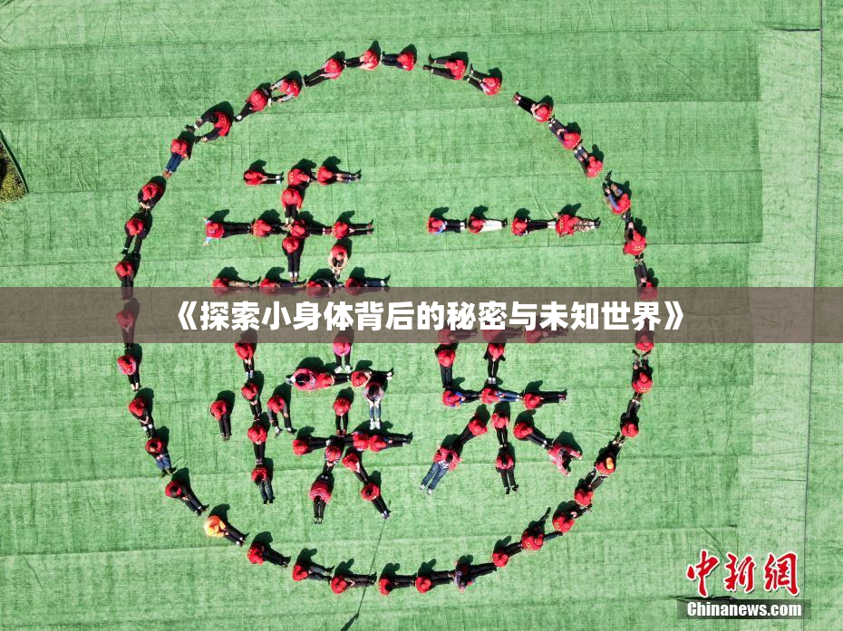 《探索小身体背后的秘密与未知世界》
